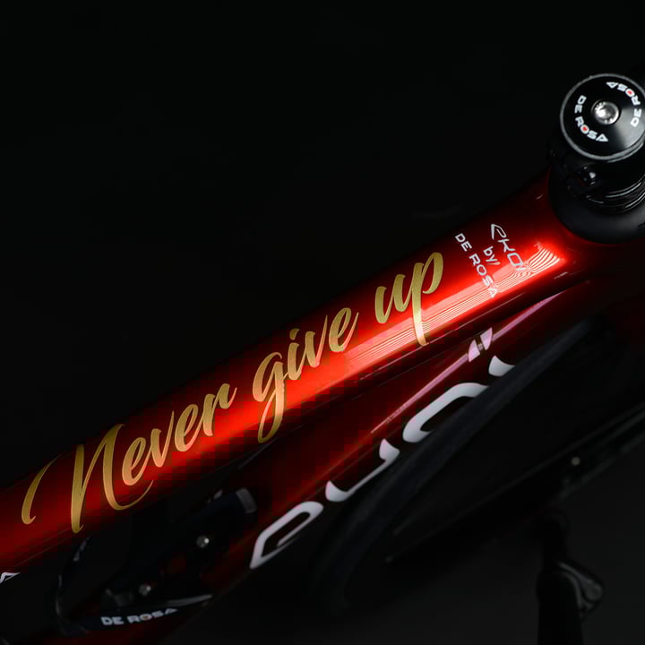 Velo de route carbone EKOI by DE ROSA VENTI Campagnolo CHROME ROUGE