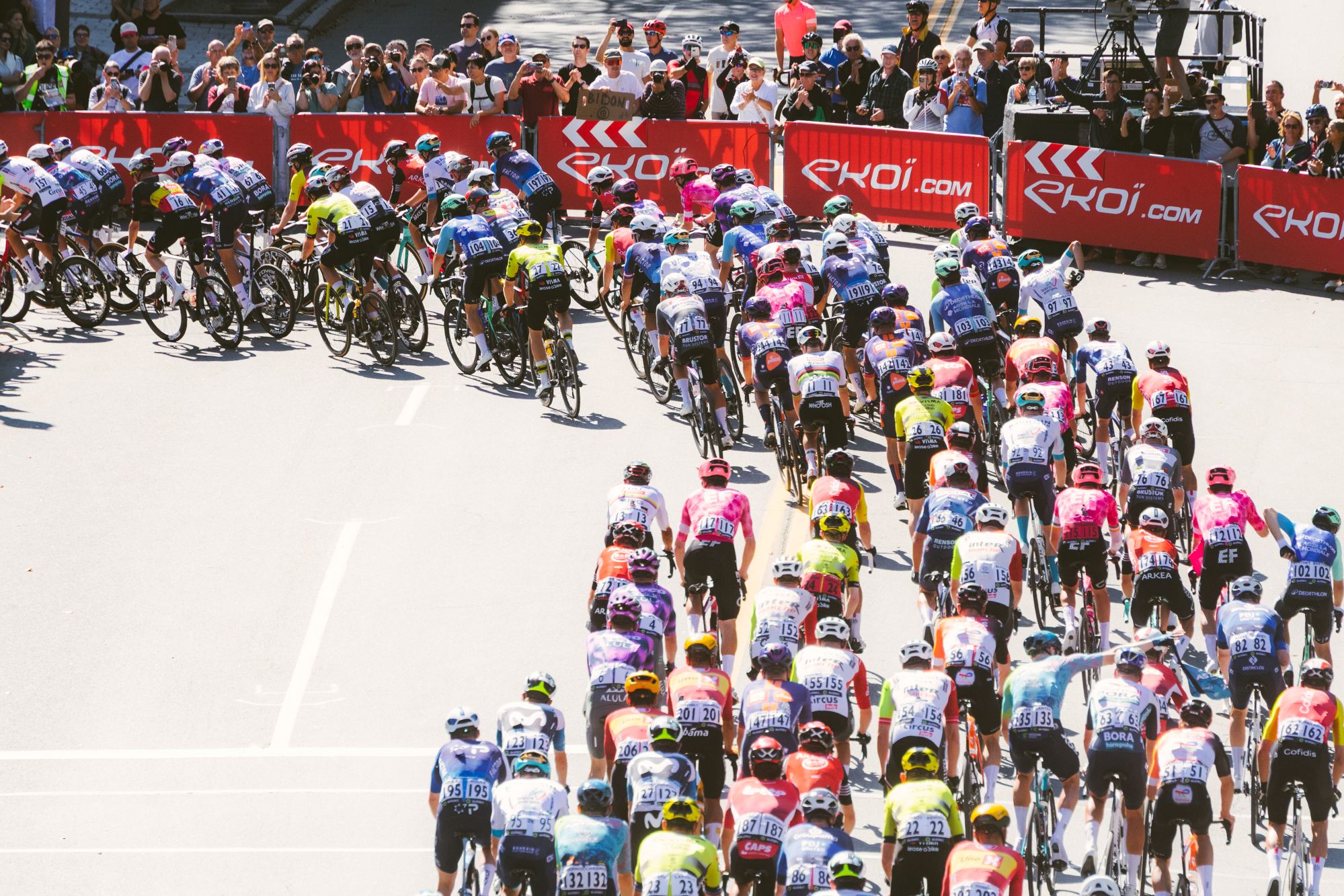 GPCQM1